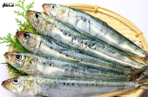 ماهی های چرب از ده ماده غذایی ضروری برای آقایان