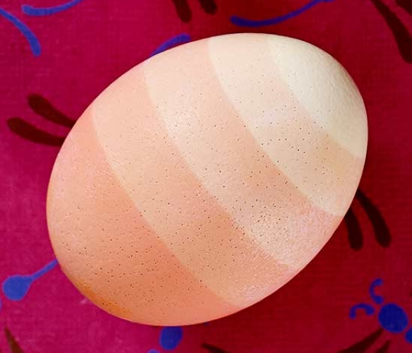 تهیه تخم مرغ رنگی راه راه به روش آمبره