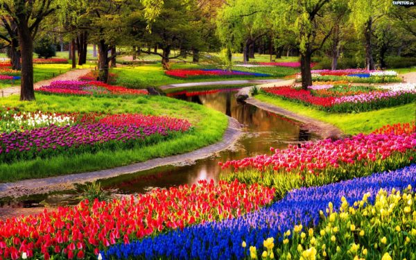 باغ گل کوکنهوف از بی نظیرترین دیدنی های هلند برای سفر 10 روزه