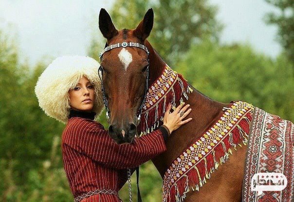 پوشش زیبای اسب ترکمن